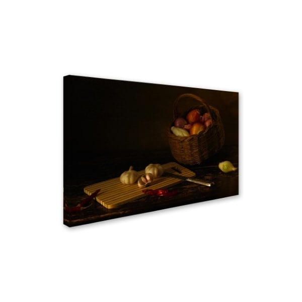 Ustina Green 'Still Life With Colors Onions And Garlic' Canvas Art,30x47